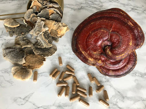 urkey tail and reishi mushrooms with Earth Buddy functional mushroom capsules on table.