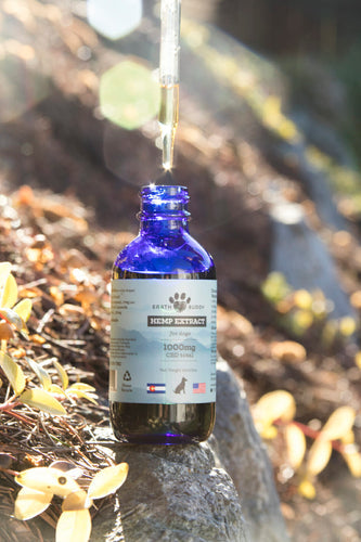 MCT Oil for Dogs