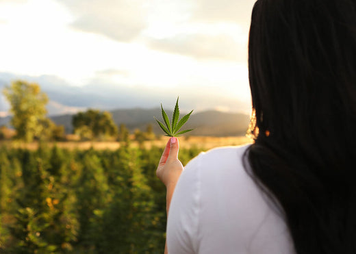 Broad Spectrum VS Full Spectrum CBD
