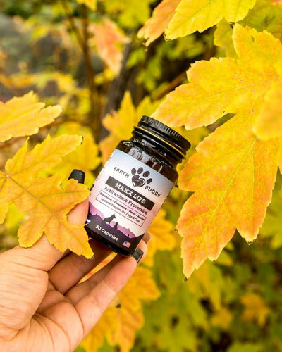 Quercetin VS Glutathione