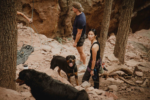 14 Vital Items for Pet Emergencies (Including Pet Calming Treats)