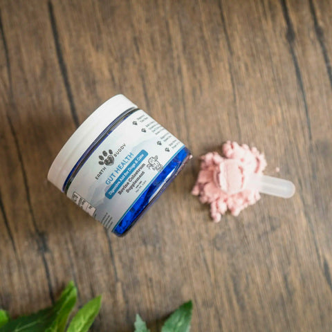 Gut Health & Immune Support for Dogs & Cats - Earth Buddy