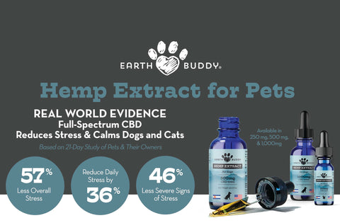Hemp extract for pets