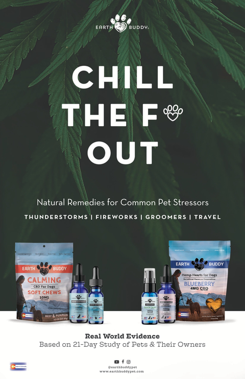 Chill the F Out poster