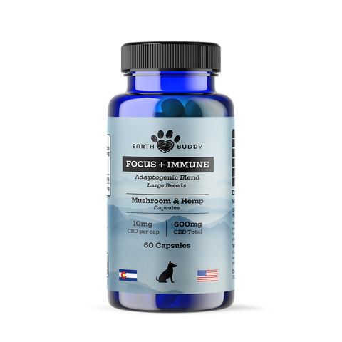 A bottle of Focus and Immunity supplements for large dog breeds.