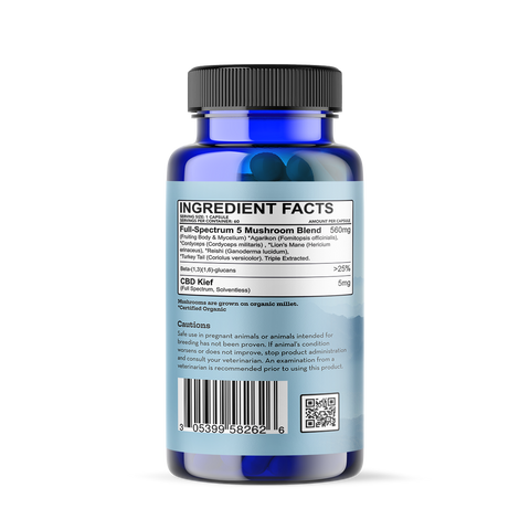 A bottle of Focus and Immunity supplements for large dog breeds.