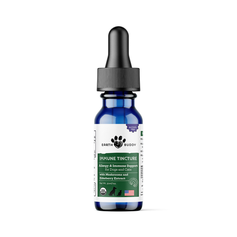 Bottle of Earth Buddy Immune Tincture on a white background