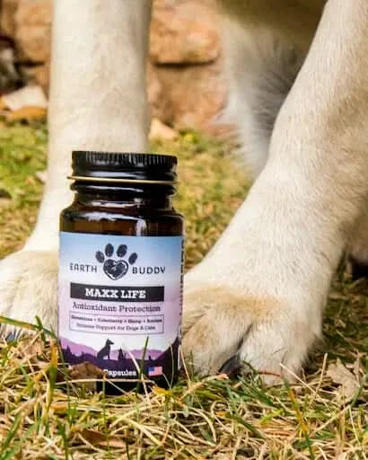 A bottle of Earth Buddy Maxx Life Glutathione for dogs and cats.