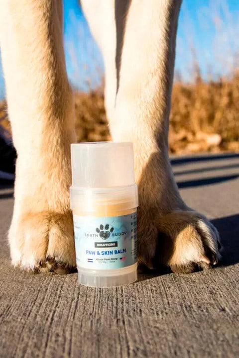 A tube of Earth Buddy hemp 125 mg Paw & Skin Balm for dogs on a wooden table. Perfect for dry skin & noses.