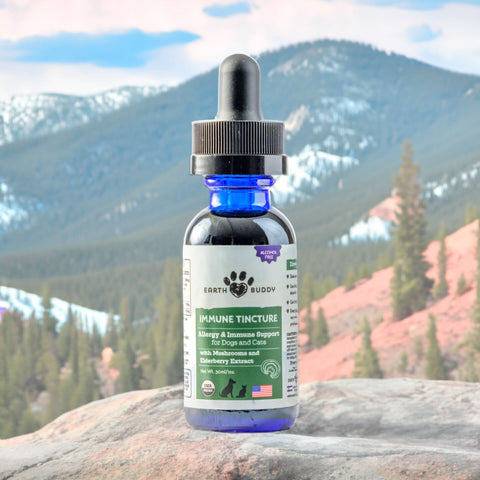 Bottle of Earth Buddy Immune Tincture with a mountainous landscape in the background