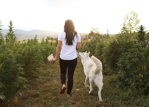 farm-dog-organic-hemp
