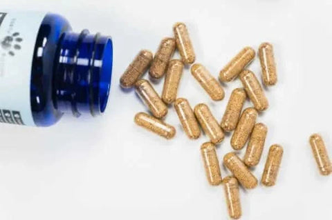 A bottle of Focus and Immunity supplements for large dog breeds.