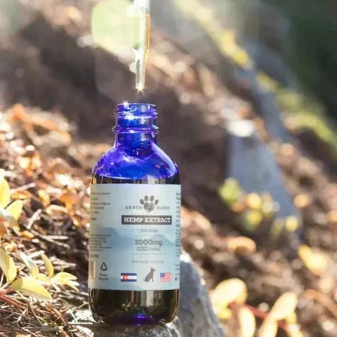 MCT Oil for Dogs: Benefits, Safety & Why It's in All Earth Buddy Hemp Extract