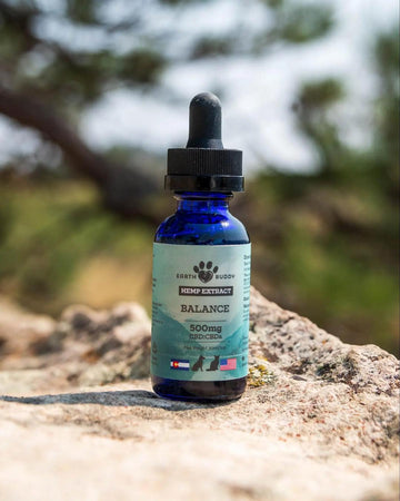 Study Shows that CBDa and CBD Significantly Improve Mobility in Dogs with Joint Discomfort
