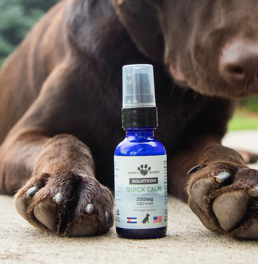 Earth Buddy’s Quick Calm blend of organic whole-plant hemp extract, ideal for the summer holidays. 