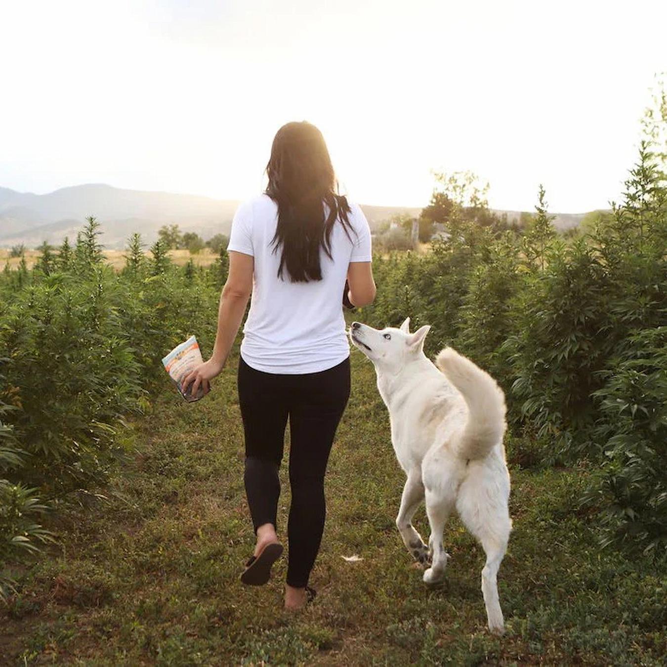 Earth Buddy Expands Access to Holistic Pet Care with Launch of New Website