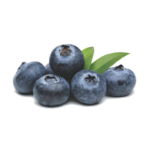 Are Blueberries Good For Dogs?