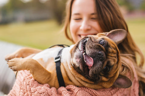 A smiling pug being held by a woman outside