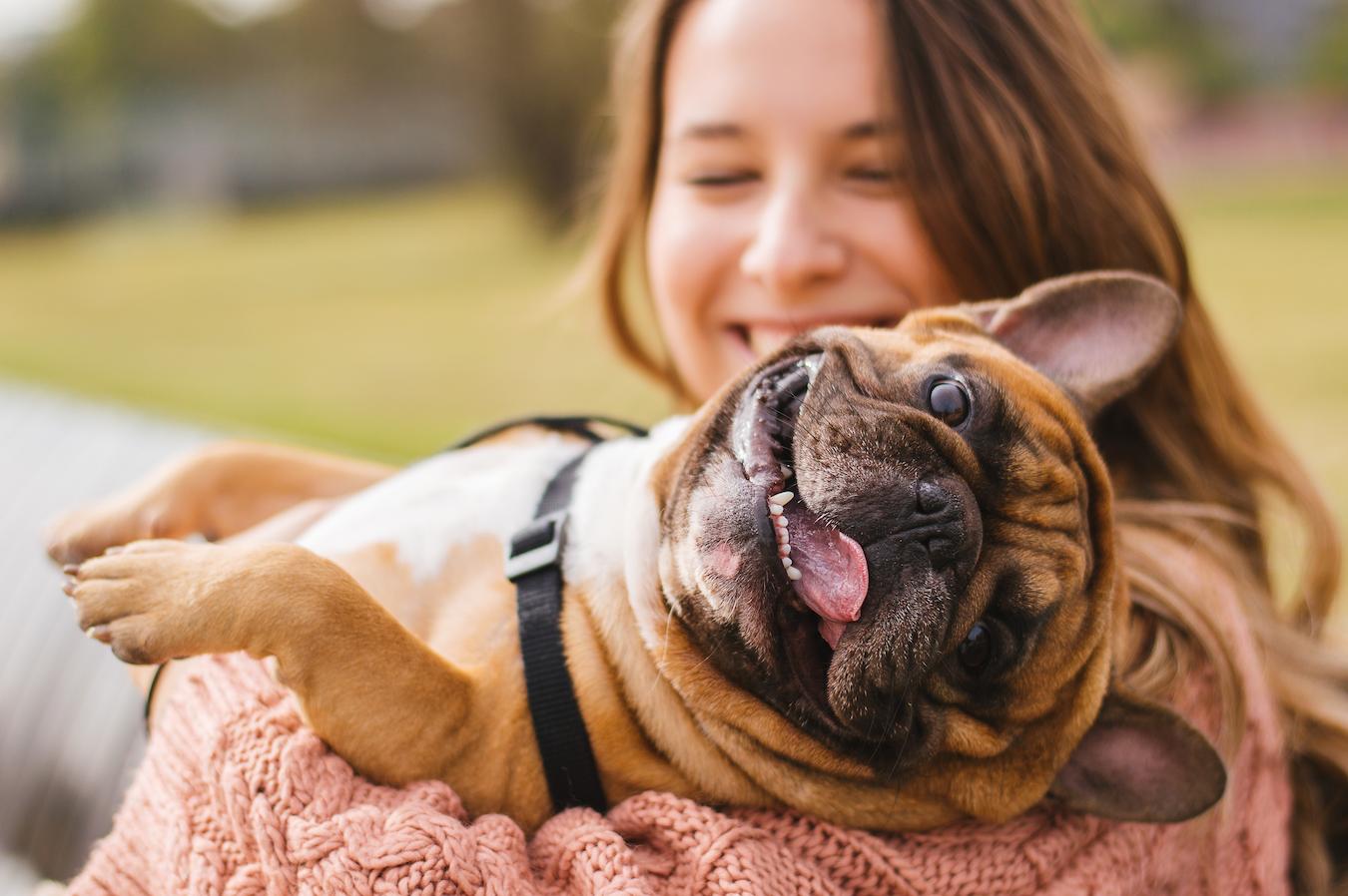 The Importance and Benefits of Antioxidants for Pets
