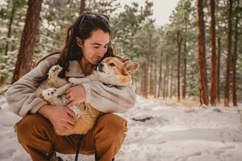 Tired dog resting — natural supplements to help dogs sleep at night