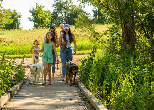 Dog Calming Treats + 9 More Tips for Low-Stress Socialization
