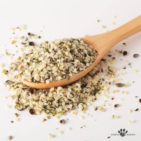 Spoon of hulled hemp hearts next to a pile of hemp hearts, a small daily topper for dogs.