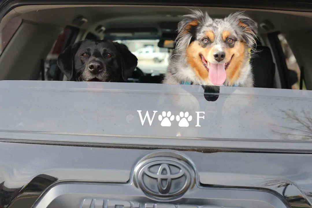 Road Trips With Dogs: Planning the Drive, the Stops, and the Nights