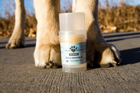 CBD balm for dogs being applied to a paw pad to support dry, rough skin.