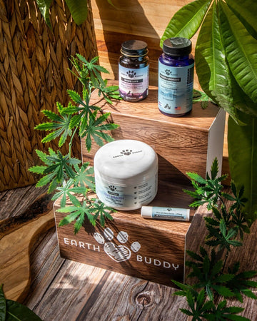 Earth Buddy Pet Health Products Review | GIRL + BULLDOGS