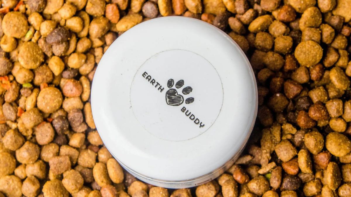 9 Dog Food Ingredients to Avoid (and What to Look For Instead)