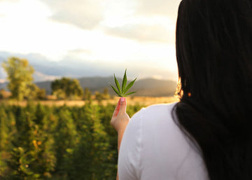 Broad Spectrum VS Full Spectrum CBD