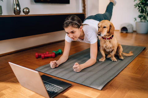 Glutamine For Dogs