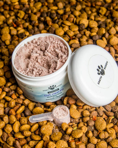 What are Good Supplements to Add to Dog Food?