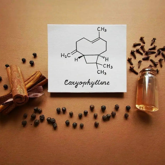 Cannabinoids and Terpenes for Pet Health