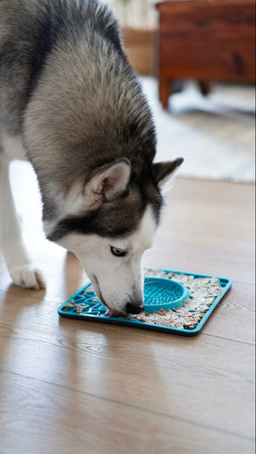 Hemp Supplements on a Lick Mat: A Tasty Solution for Dogs