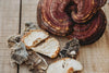 Mushroom Fruiting Body vs Mycelium for Dogs