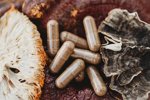 Mushrooms contain essential vitamins for dogs in capsule form on a wooden surface