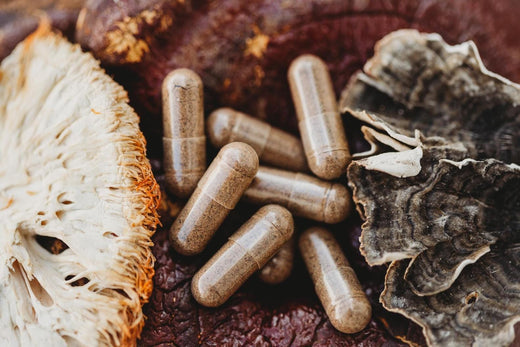 6 Essential Vitamins for Dogs