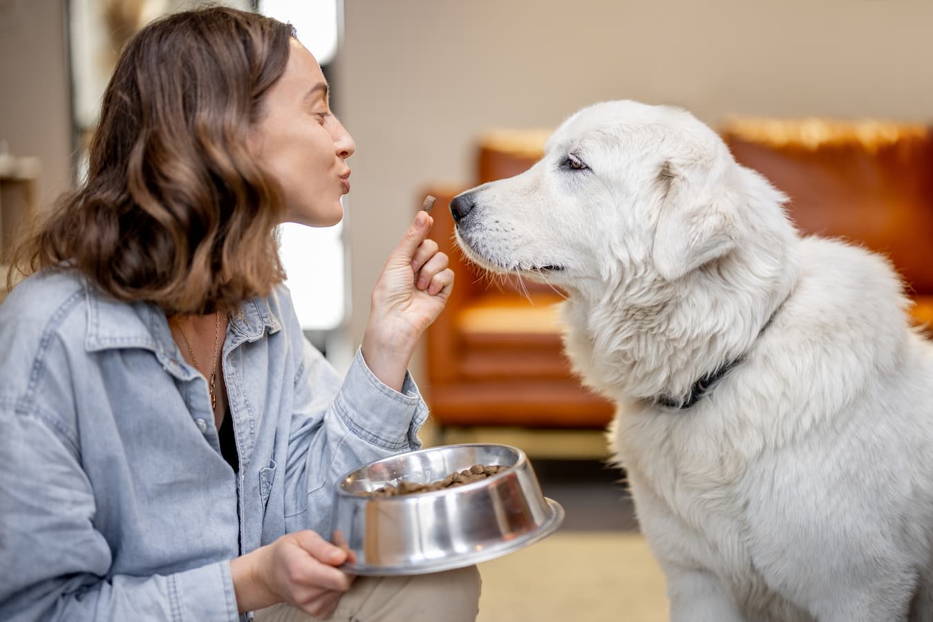 10 Signs Your Dog Needs Probiotics
