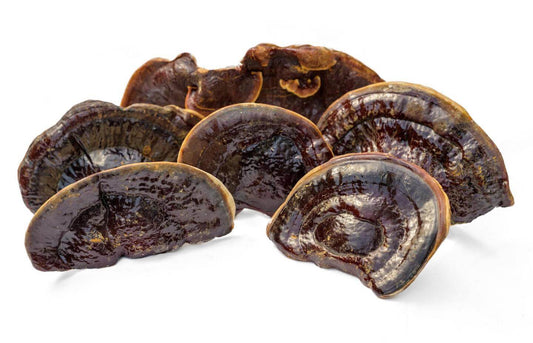 Functional Mushrooms: Where Does Reishi Mushroom Grow?