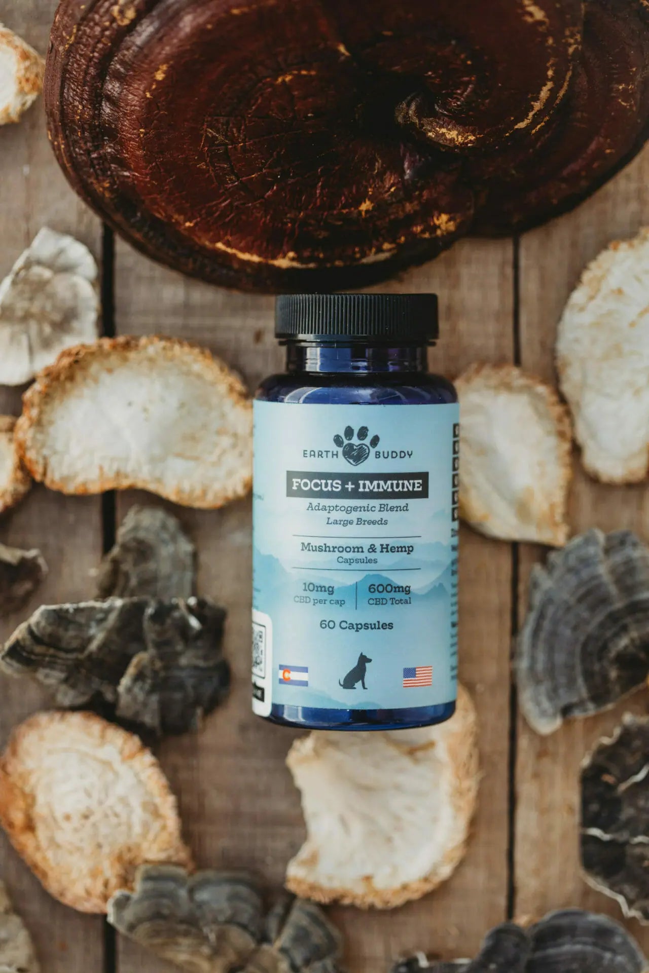 Sean Zyer & Jeremy Widmann on How Medicinal Mushrooms Can Make All The Difference For Your Pets