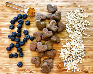 What to Look for When Searching for Pet Nutritionist