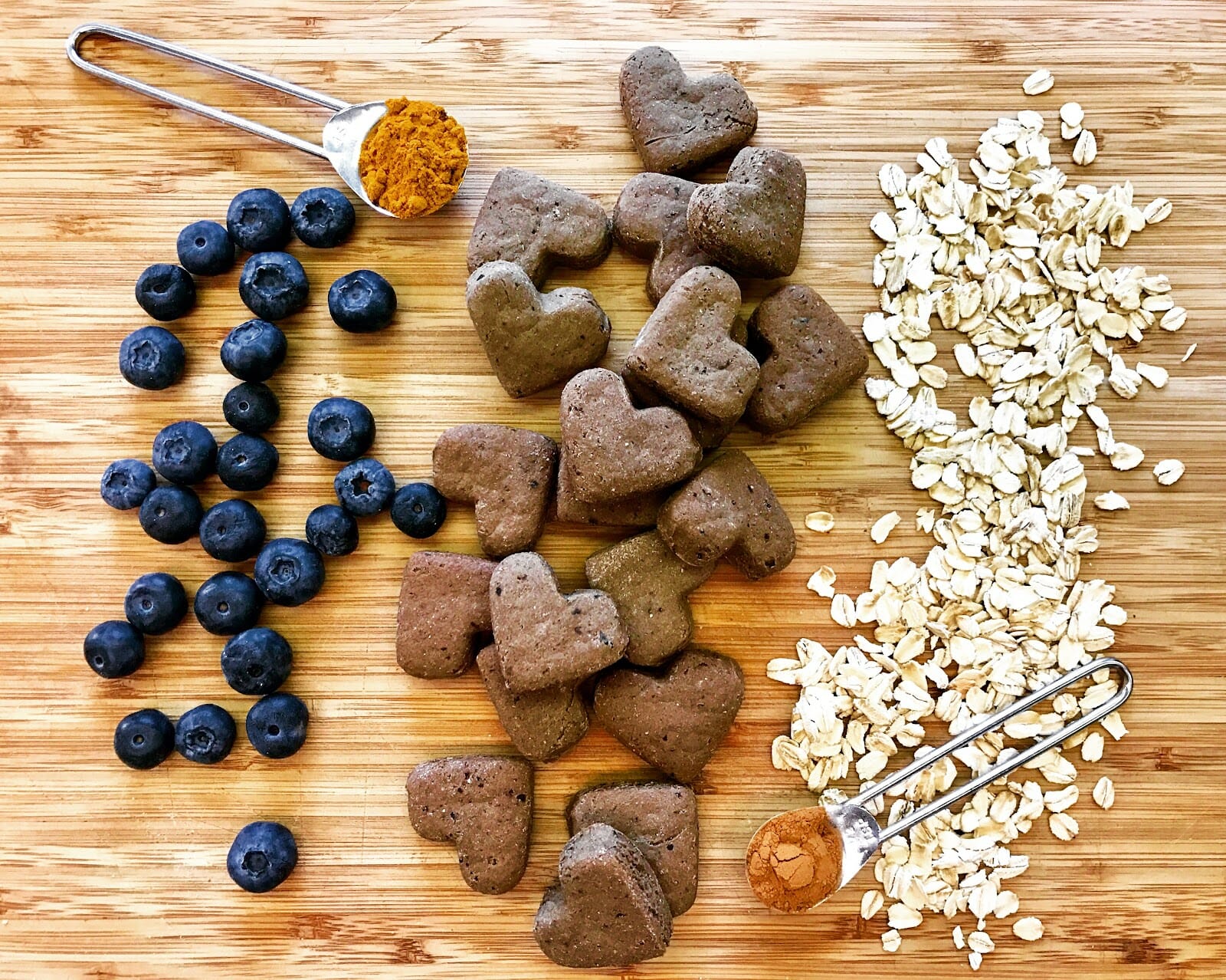 How to Find a Pet Nutritionist: What to Look For Before You Hire One