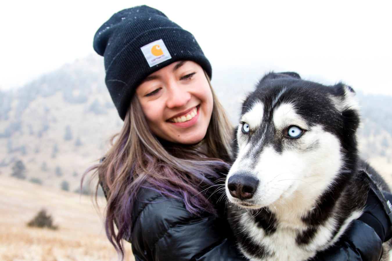 Understanding the Endocannabinoid System and CBD Oil for Dogs