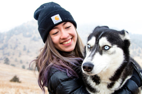 Understanding the Endocannabinoid System and CBD Oil for Dogs