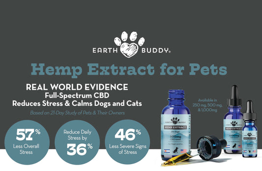CBD Oil Shelf-Talker