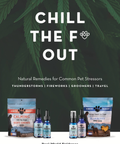 Chill the F Out poster