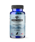 A bottle of Focus and Immunity supplements for large dog breeds.