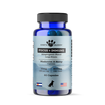 Focus+Immune Mushrooms for Large Dogs – 10mg – 60ct