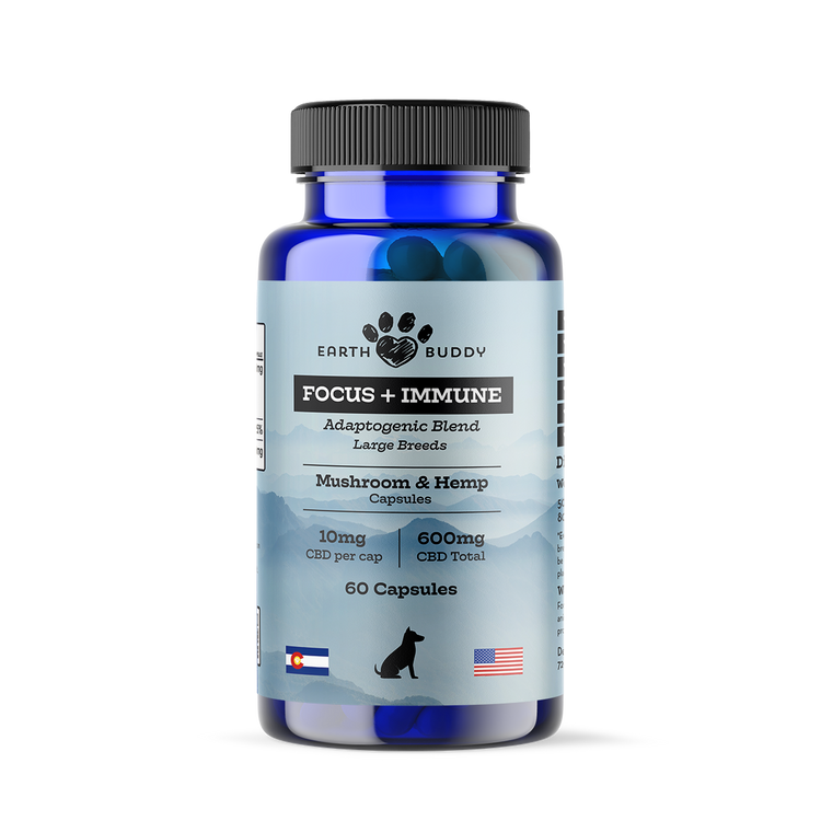 A bottle of Focus and Immunity supplements for large dog breeds.